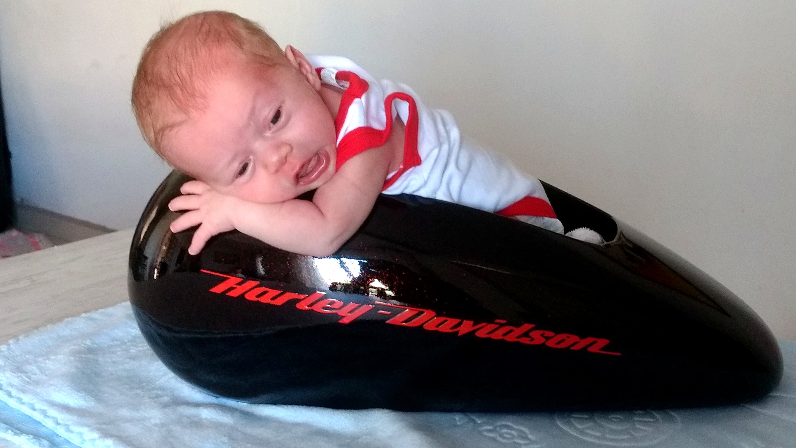 Bebê sobre um tanque de moto Harley-Davidson pintado